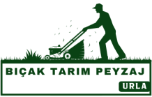 Urla'da Çim Bakımı,Çim Biçme,Otomatik Sulama ve Zoysia Çim Hakkında Her Şey