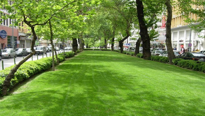 Urla Hazır Rulo Çim - Bıçak Peyzaj ile Hızla Yeşil Alanlar Yaratın