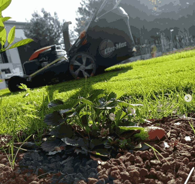 Urla Bahçe Bakımı - Bıçak Peyzaj ile Bahçeniz Her Zaman Bakımlı ve Canlı