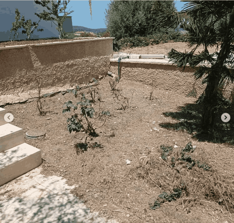 Urla Fide Ekimi - Bıçak Peyzaj ile Verimli ve Sağlıklı Bahçeler