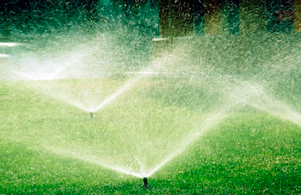 Urla Otomatik Sulama - Bıçak Peyzaj ile Verimli ve Etkili Sulama Sistemleri